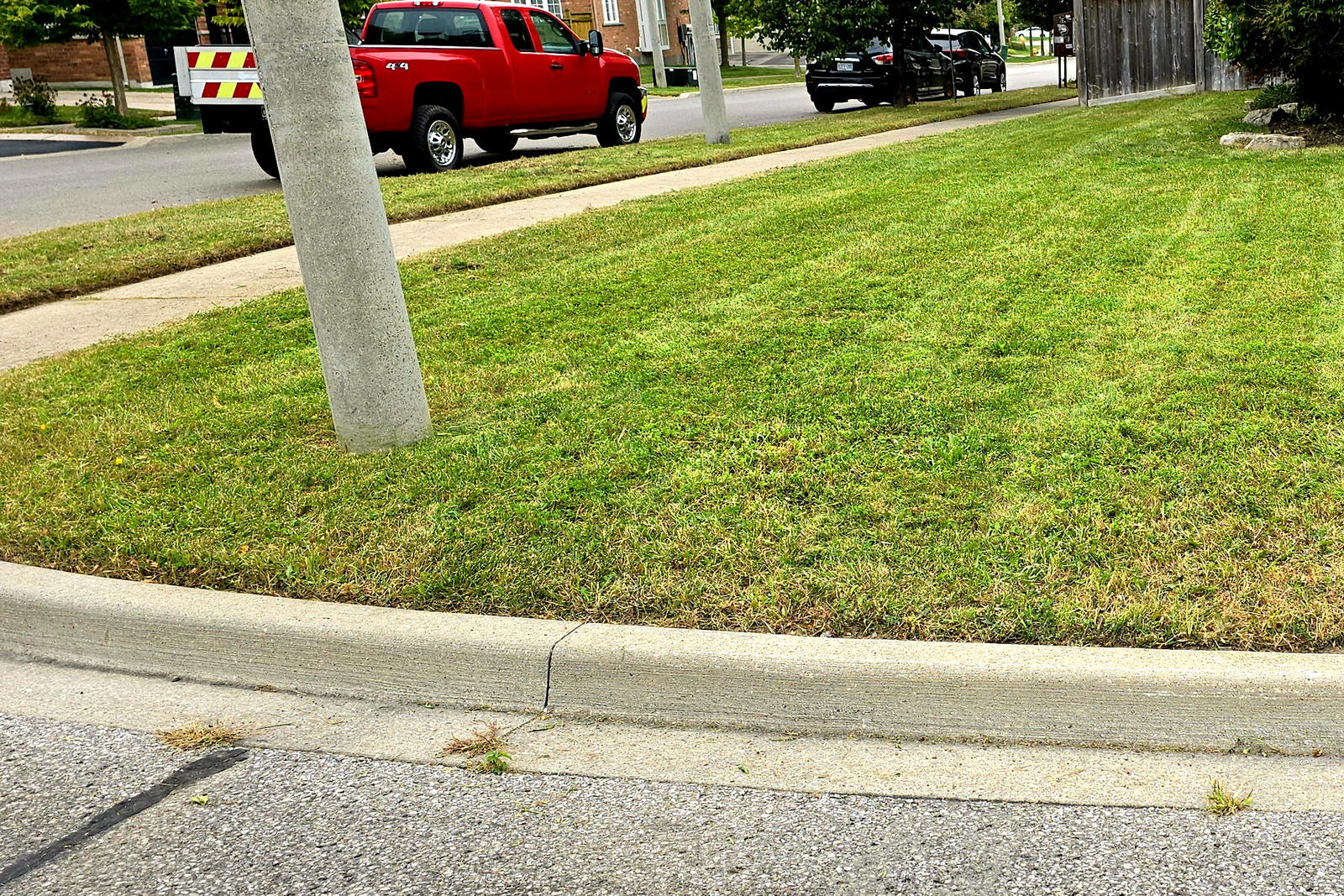 A finished lawn edge along the curb after a Northline visit